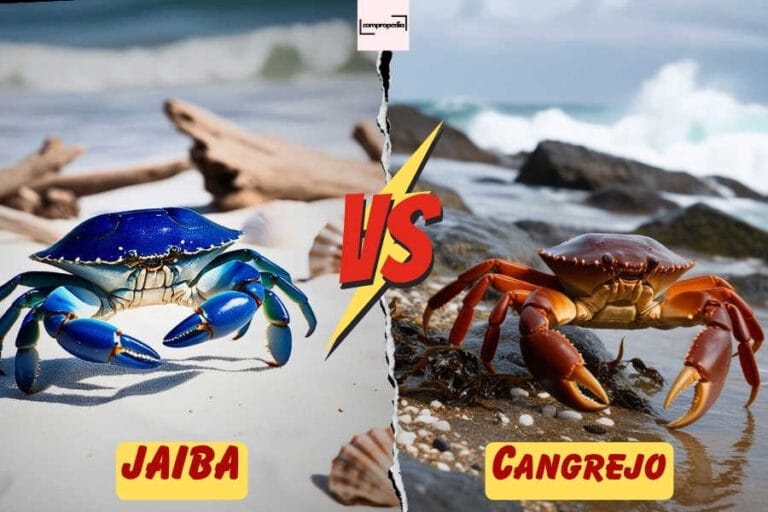 Jaiba Vs Cangrejo